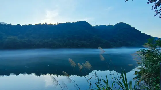 天光微亮，薄雾如纱，轻笼一池碧水。青山静默，倒影沉入湖心，仿佛沉睡的巨龙。几株芦苇随风轻摇，絮语着未醒的晨梦。万物静谧，唯有这片宁和，在时间里缓缓呼吸。