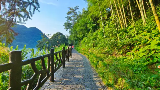 这条青石小径蜿蜒向远方，左侧静水倒映着山影，右侧翠竹与藤蔓在阳光下轻声絮语。斑驳的光影在路面上跳跃，仿佛时光在此沉淀成一首温柔的夏日诗。