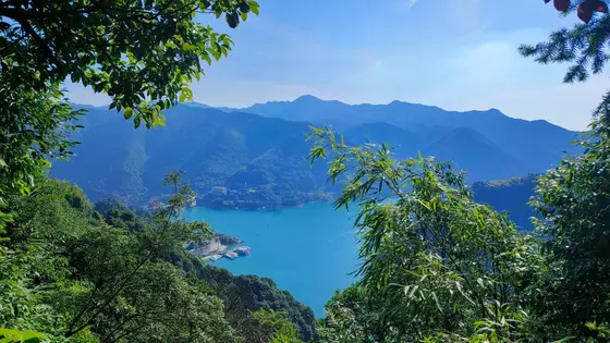 翠幕轻垂，半掩一湖碧水的幽梦。远山如黛，层峦叠嶂间晕染开深浅不一的蓝。水面微澜，碎银般的光点在竹叶的缝隙间跳跃。风过林梢，仿佛在低语，将远山的清凉与湖的静谧，一并揉进了这无边的夏日里。