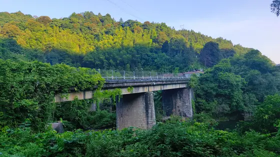 山色浸染晨光，层层叠翠如泼墨晕开。  
石桥静卧碧水间，藤蔓垂落似时光低语。  
远峰衔着薄云，风过林梢时，连影子都染上青苔的呼吸。