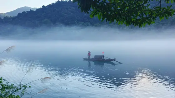 晨雾如轻纱漫过湖面，远山在青灰中沉睡。一叶扁舟载着斗笠的守望者，缓缓划开天光与水色的界限。芦苇低语，涟漪轻漾，仿佛整个世界都慢下来，只为此刻的安宁。