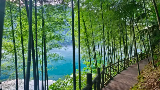竹影婆娑，小径蜿蜒，仿佛通往一片秘境。湖面如镜，映着远山的轮廓，静谧得能听见时光流淌。微风轻拂，带来竹叶的清香，心也随之沉静下来。