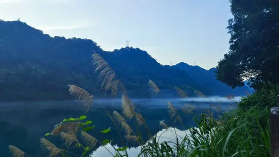 天青色湖面浮着未干的宣纸，雾在山腰轻轻折叠。远山如未醒的梦，芦苇垂首时抖落一串露珠。最深的蓝沉在水底，最浅的白游在光里，晨曦正把山影描成银簪。