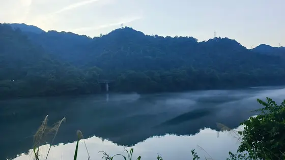 晨雾如轻纱般漂浮在湖面上，远山青黛含烟，静默地倒映在水镜之中。岸边芦苇低语，水面微澜轻漾，仿佛整座山林都沉入了一场未醒的梦境。