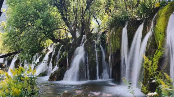 山涧深处,碧玉般的水流自苔痕斑驳的岩壁垂落,织成千万缕晶莹的珠帘。光影在蕨叶间轻盈跳跃,将浮沫染成碎金。水声与林风共语,漫过覆满绿萝的石隙,流向更深的幽静。