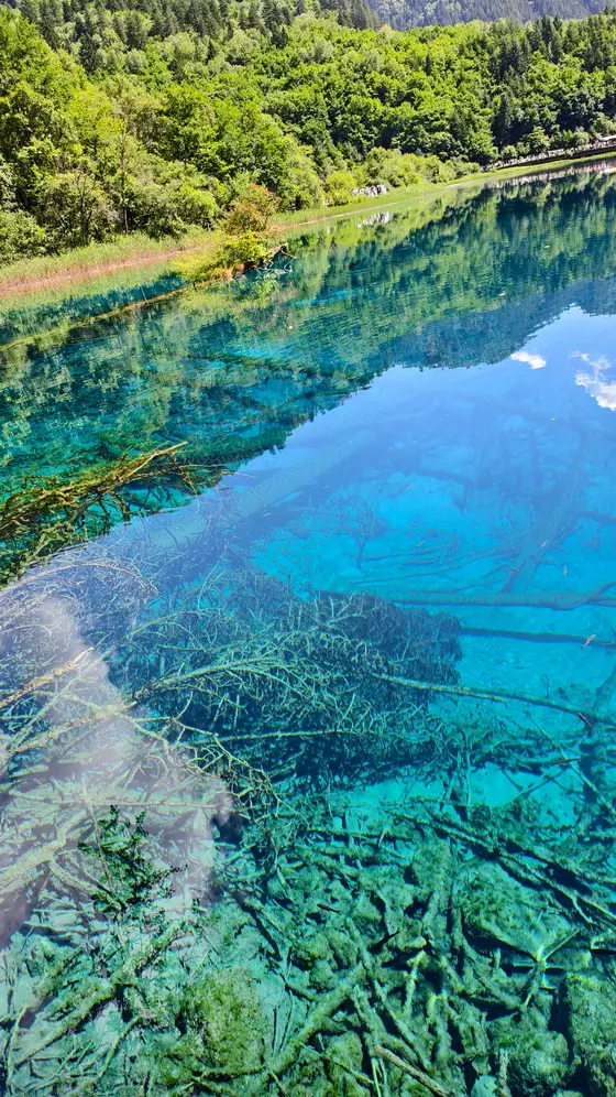 湖水如一块蓝宝石静卧山间,倒映着天空与森林的梦。
水下枯枝交错,沉睡在透明的波纹里,仿佛时间凝固。
林梢的绿意轻轻吻过水面,漾开一圈圈浅浅的光晕。
鱼影偶尔掠过,带起一缕碧色的涟漪,又归于静谧。