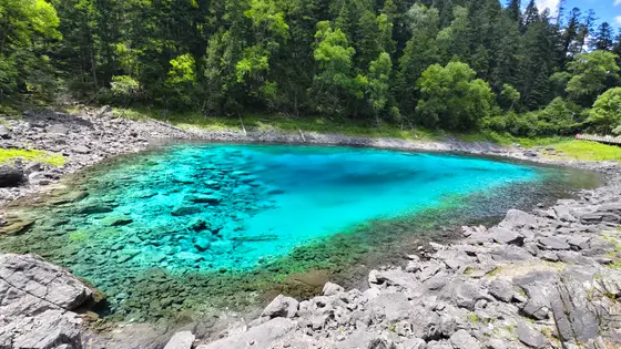 孔雀蓝的湖水像一块通透的琉璃,静静躺在群山环抱的臂弯里。水下的岩石清晰可见,每一纹路都被阳光镀上柔和的光晕。两岸的森林低垂着枝叶,将翠色轻轻点染在水面。风过时,整片蓝便荡漾成最温柔的诗句。