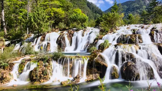 清泉自山涧涌出,如千万条银练垂落青岩,在阳光里碎成流光的纱。水流绕过苔痕斑驳的石,潺潺低语,仿佛在诉说森林千年的秘密。四周绿意如潮,将这份洁白拥入怀中,唯余一川烟雨,在时光里静静流淌。