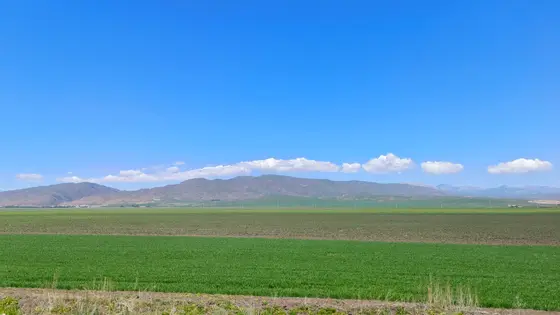 天似穹庐，笼盖四野，湛蓝如洗。云卷云舒，轻描山峦轮廓，静卧于时光之畔。脚下绿浪翻涌，与褐色土地低语，孕育着生命的温柔呼吸。