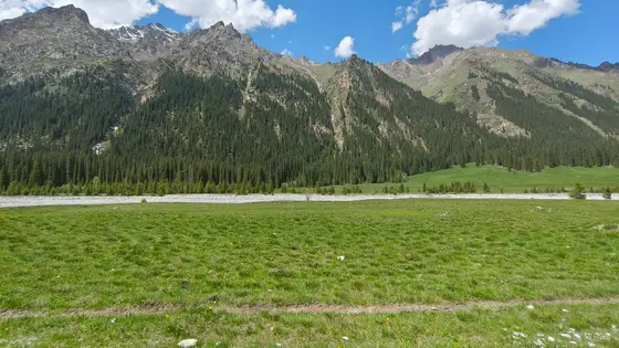 绒毯般的绿意轻铺向远方，林带如深色绸缎挽住山腰。雪峰是大地的银冠，托着几朵闲云悠悠漫步。风过时，整片山谷都在呼吸，光与影在草尖跳着无声的舞。