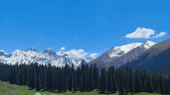 湛蓝的天空如水洗过一般，几朵白云悠闲地飘浮其间。远处雪峰连绵，仿佛是大地托起的银色王冠，闪耀着圣洁的光芒。脚下是墨绿的松林，像一片凝固的海浪，轻轻拥抱着雪山的倒影。整个山谷安静得能听见风的呼吸，只有几顶小小的帐篷，像落在绿毯上的种子，孕育着远行的梦。