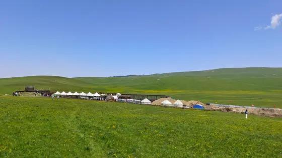 碧空如洗，云朵轻盈地倚在天边，仿佛触手可及的羽毛。草原铺展成无边的绿毯，细碎野花如星辰般缀满绒毯，一直绵延到远山温柔的弧线处。洁白的毡房与帐篷错落其间，像是大地睁开的眼睛，静静凝望着游人的踪迹。风从草尖掠过，带着泥土与阳光的气息，将这片辽阔的宁静缓缓呼吸。