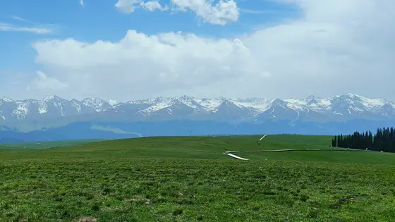 蓝得发亮的天穹下，白云像被揉碎的棉絮轻舒慢卷。雪线勾勒出山脉的冷峻轮廓，阳光在峰尖碎成银芒。绿毯般的草原铺展向远方，风里裹着青草与野花的淡香。一条银白小路蜿蜒着，引向山与云相接的地方。天地间只剩下辽阔的静，连时光都慢了下来飘。