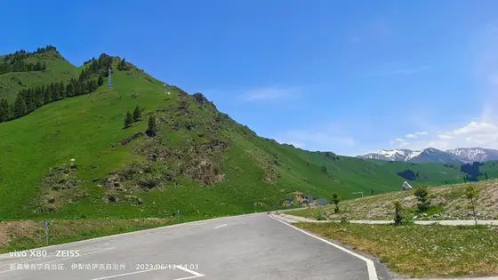 碧空如洗，苍翠的山峦宛如大地的脊梁，静默地承接着阳光的恩赐。蜿蜒的公路似一条灰白的绸带，系在青山的腰间，引人向着那未知的远方探寻。远处的雪峰若隐若现，仿佛是天空洒落的晶莹点缀，让这静谧的绿意中多了一份圣洁与高远。