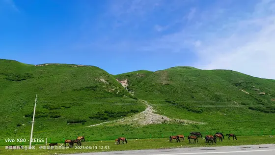 苍穹如洗，碧空万里，仿佛是大自然铺开的一卷无边宣纸。连绵起伏的青山披着翠绿的绒毯，在阳光下舒展着慵懒的身姿。几匹骏马低头细嚼着草尖的清香，将这份静谧与悠然，绘成了一幅流动的画卷。
