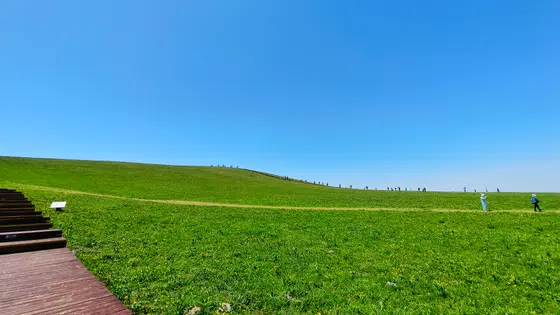 天空垂下它湛蓝的裙摆，草地便舒展开无边的绒毯。木阶引着目光攀上坡脊，那里有风拂过草尖，摇碎一坡金黄的碎光。远处的人影，成了大地诗行里会呼吸的标点。而此刻的寂静，正蓝得透亮。