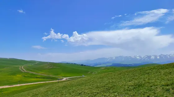绿毯铺展接远天，车辙蜿蜒如哈达轻扬。雪峰静卧云絮间，天地悠悠，唯余风吟草香。