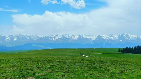 翠色绒毯铺展至天际，蜿蜒丝线轻绕过山坡。雪冠群山静卧云端，碧空流云似低吟浅唱。风拂过草尖的私语，都落进这片无言的蔚蓝里。