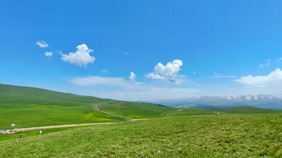 无边的绿毯铺展至天际，一道蜿蜒的小路如温柔的丝线，将远方雪山的洁白与此处牧人的足印轻轻相连。云朵是蓝天放牧的羊群，缓缓掠过青草低语的山坡。风里藏着阳光的味道，每一次呼吸都浸透了草叶的芬芳与山巅未融的雪意。