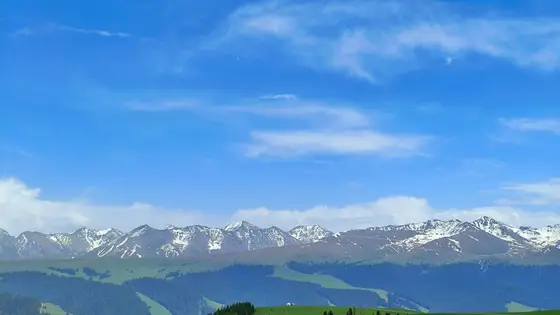 湛蓝的天幕被雪山裁成柔和的弧线，云絮轻吻着峰顶的白雪。风过处，林海与草甸泛起层层绿浪，漫向远处静默的山脊。万籁俱寂时，唯余天地呼吸，将清凉的蓝与温润的绿，都揉进这无边的开阔里。