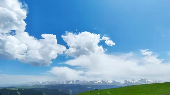 天空铺开湛蓝的画布，云朵像游荡的羊群缓缓漫步。远山披着皑皑白雪，如沉睡的巨龙蜿蜒天际。近处草坡起伏如浪，一道小径蜿蜒其间，那是大地写下的绿色诗行。