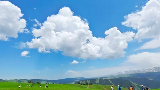 头顶是如洗的碧空，大朵大朵的白云像是不经意间洒落的棉絮，悠闲地舒展着。脚下是绵延的翠色草原，像是大地铺就的绿毯。远处的山峦披着白雪，在阳光下闪着冷冽的光。游人漫步其间，仿佛误入了一幅流动的山水画卷。