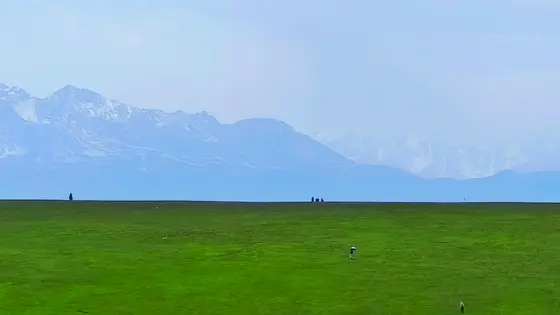 无边的绿毯轻铺向天际，与淡蓝的远山相接成梦的边沿。雪线藏在云雾里，像神祇遗落的银纱，覆在连绵的山脊上。几个小小的身影散落其间，是草原跳动的音符，也是天地间最轻的呼吸。风过时，草浪卷着山的静谧，把这无垠的柔，揉进蓝与绿的永恒里。