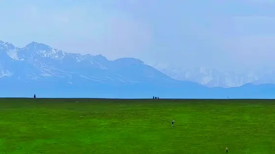 无垠的绿毯铺展至天际，尽头是蜿蜒的雪线，如天神遗落的笔触。几个墨点般的人影，在苍茫的天地间，成了最微小的标点。风从雪山的方向吹来，带着亘古的清凉，和草原无声的呼吸。