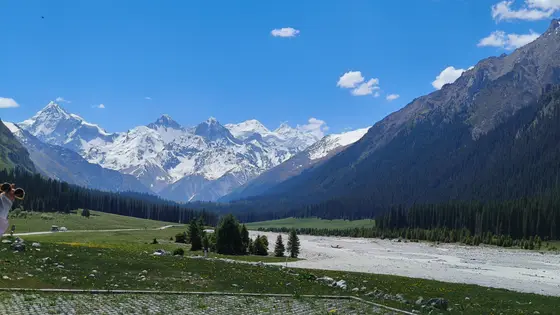 雪山披着银冠矗立天际，湛蓝天幕下，森林如墨浪翻涌。草甸缀满碎金，河流携着卵石低吟，风过处，整个山谷都在温柔地呼吸。