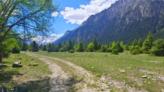 蜿蜒的碎石小径穿过青草地，阳光洒下斑驳光影。远处青山如黛，层叠的松柏如哨兵般守望着这方净土。雪峰在蓝天白云下闪耀，风里似有森林的低语和远山的回响。