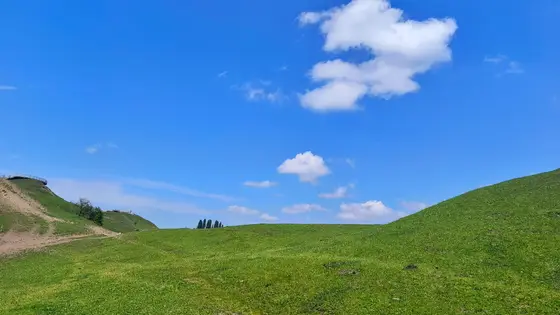天空蓝得像一块刚被洗净的绸缎，几朵白云悠悠荡着，像谁不小心洒落的棉絮。脚下的绿坡软软地铺开，草色从浅到深，像大地在哼着舒缓的歌。远处的树影淡淡，和山坡的弧线一起，融进风里。