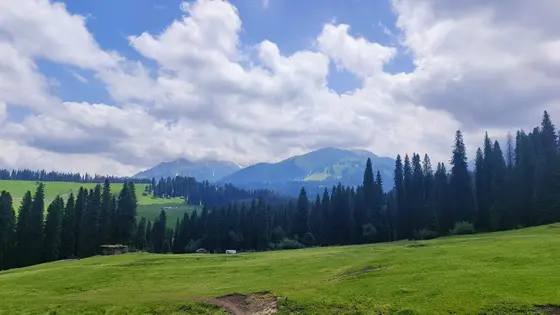 云影在草尖轻舞，仿佛天空写给大地的情书。  
远处的雪山沉默如谜，怀抱着最后一缕冬的絮语。  
墨绿的林海涌起波涛，将木屋与栅栏温柔拢入怀中。  
此刻风是透明的诗人，把整个山谷哼成一首未完的歌。