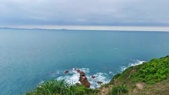 杨梅坑