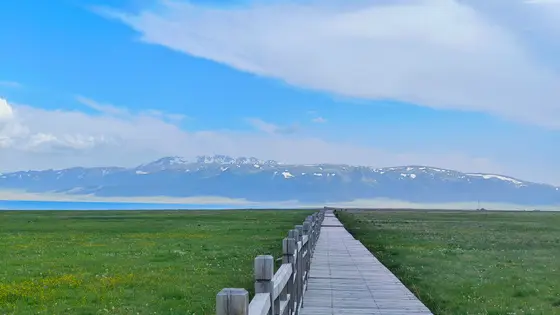 木栈道像一条延伸向天际的河流，两岸是涌动的绿浪与星星点点的野花。远山披着未化的雪衣，静静守护着这抹宁静的蓝。风在这里放慢了脚步，云朵也慵懒地停泊在天空的岸边。