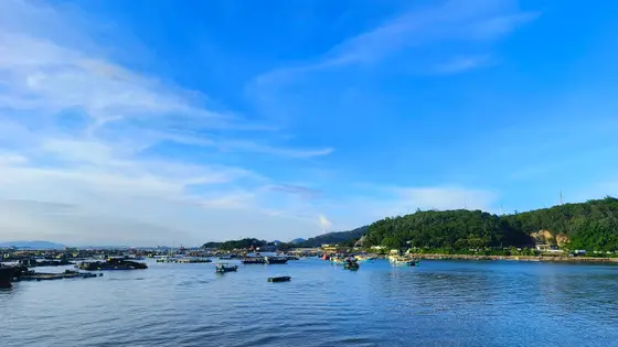 天幕是洗过的蓝，几笔闲云淡扫，海面铺满细碎的银光。渔船如棋子散落，青山在远处安静地呼吸。风过处，时光也放慢了脚步，只留下海风与浪花的低语。